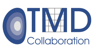 TMD Collaboration Meeting